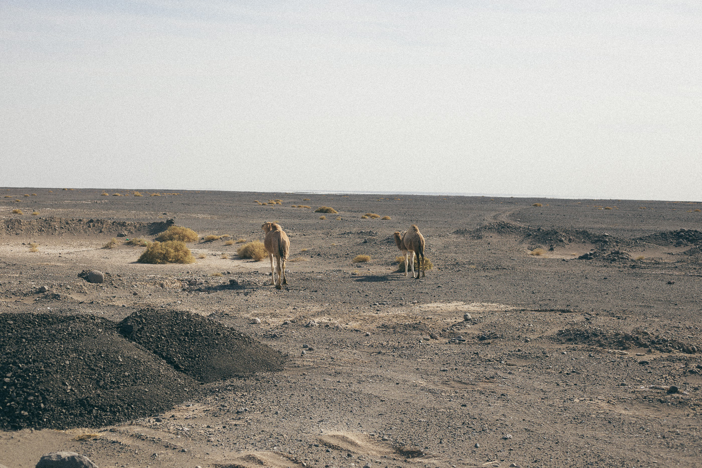 Pakistan_Baluchistan_Levis_2017-2