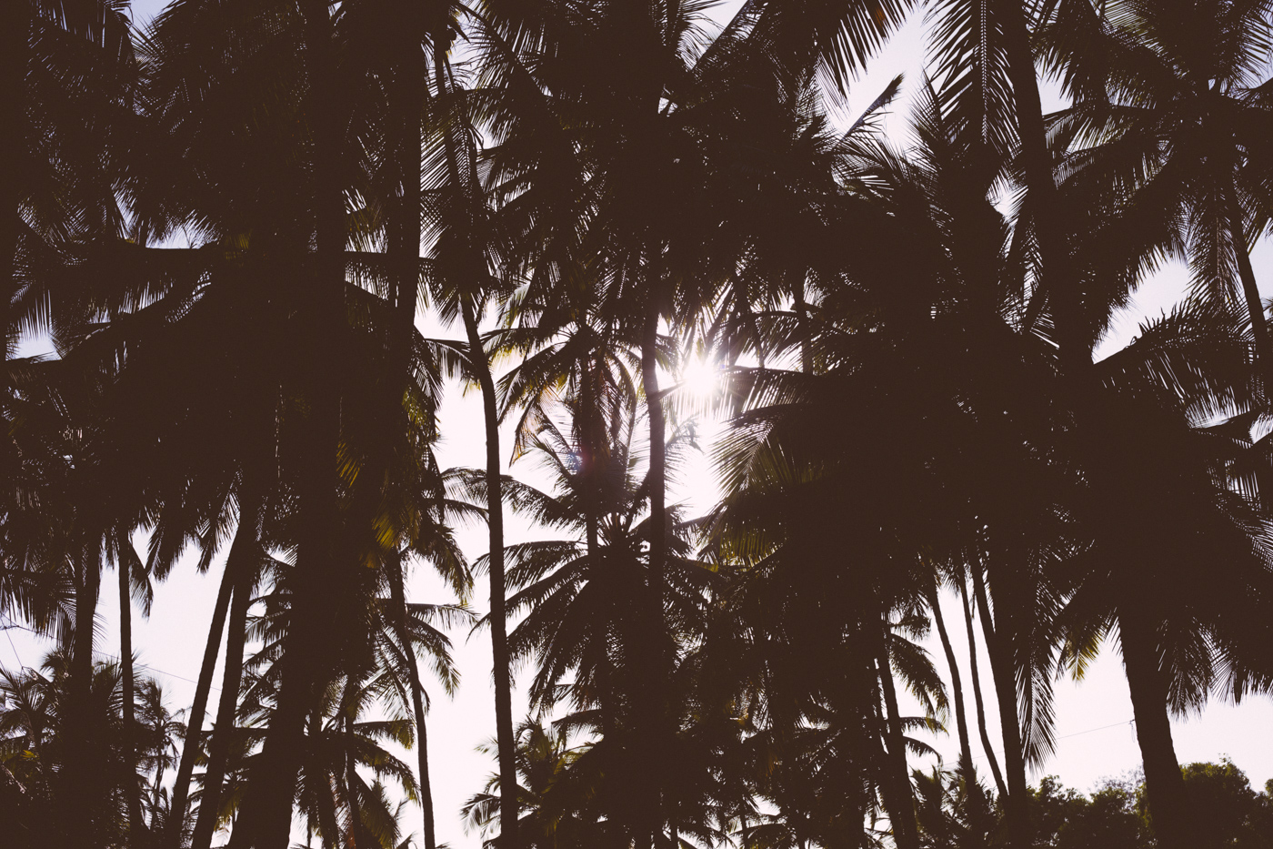 2017_India_Goa6