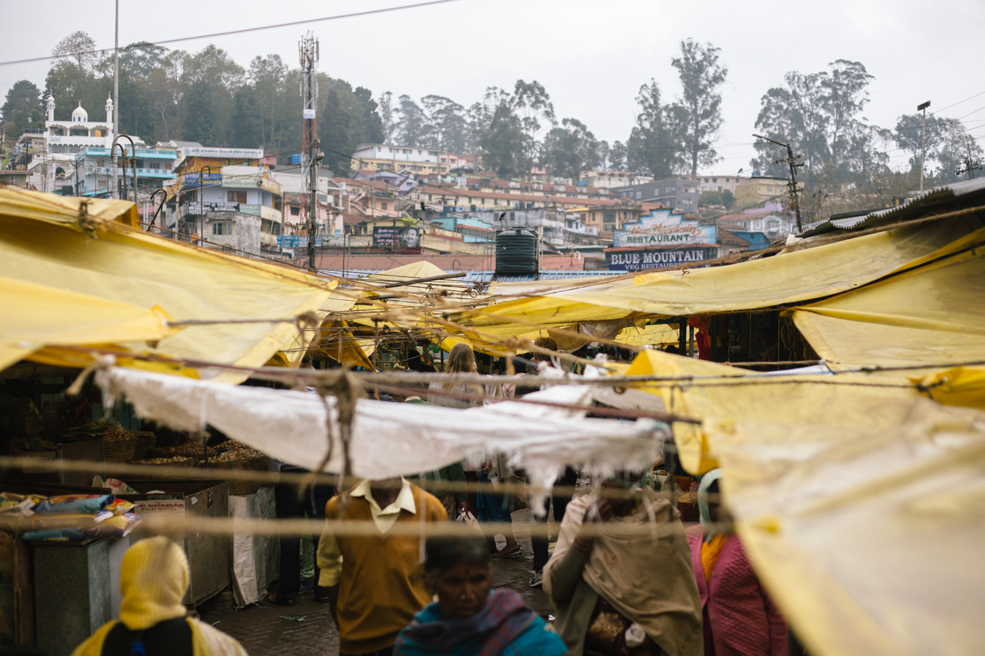 2017_India_Ooty5