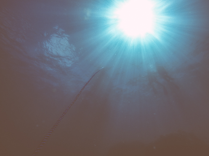 DCIM100GOPROG0041485.JPG
