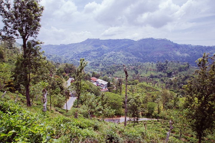 SriLanka_TukTukTrip_201753
