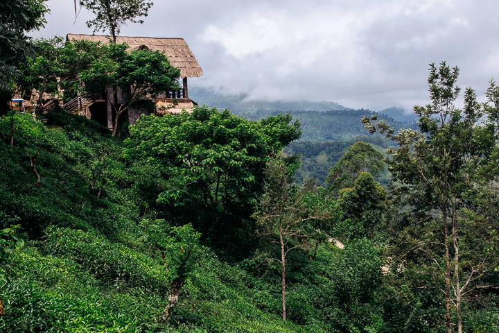 SriLanka_TukTukTrip_201759