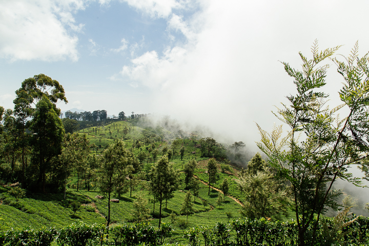 SriLanka_TukTukTrip_201769