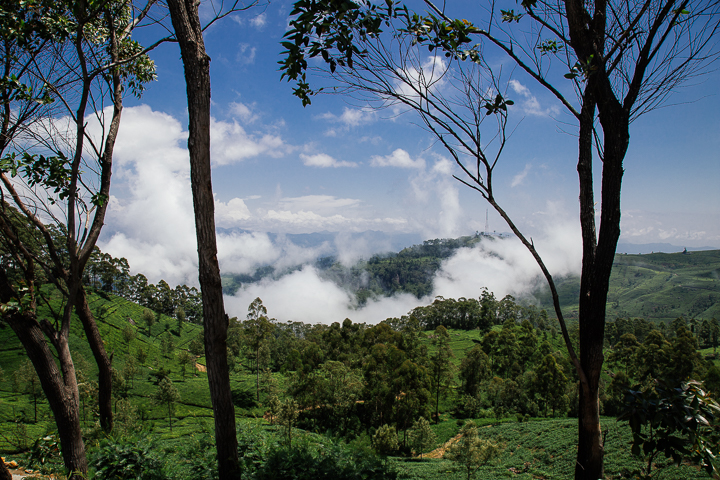SriLanka_TukTukTrip_201773