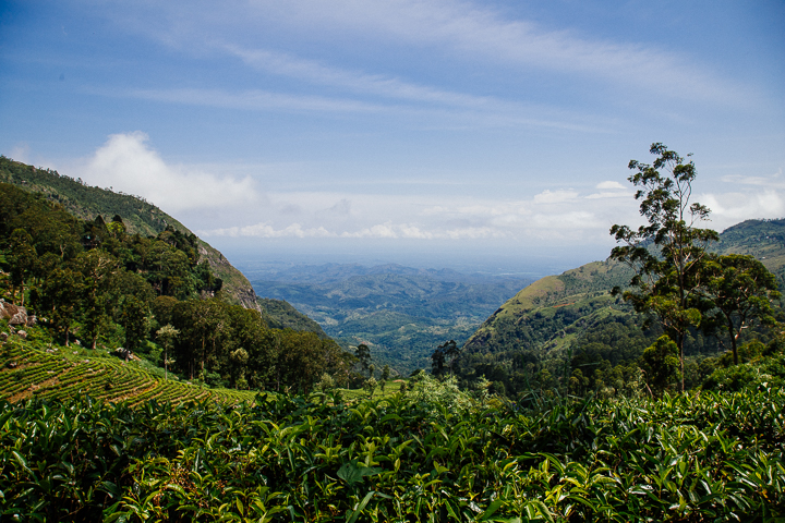 SriLanka_TukTukTrip_201779