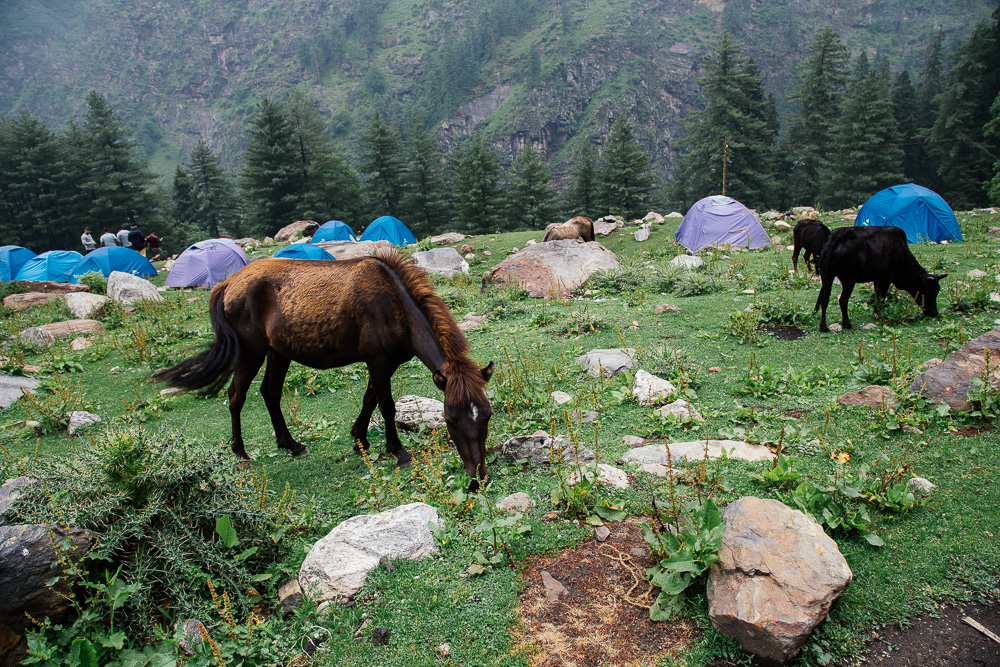 Kheer_Ganga_Indien_2017-2