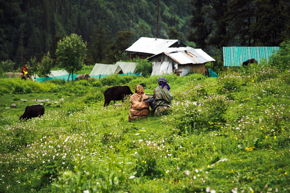 Magic_Valley_Indien_2017-11