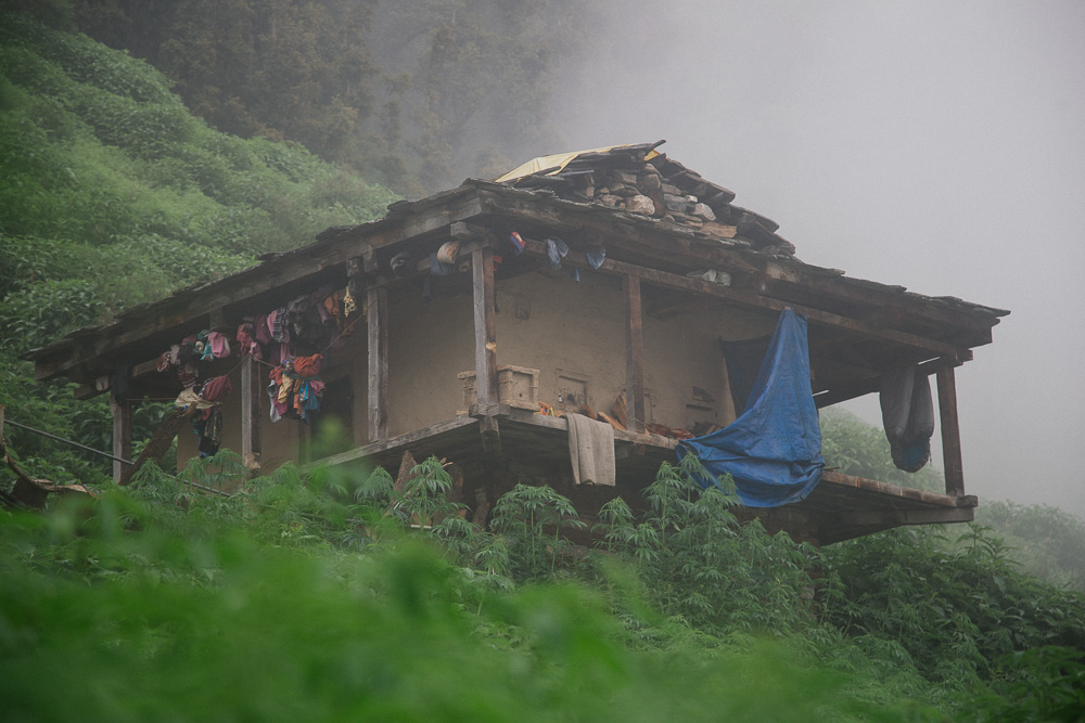 Magic_Valley_Indien_2017-18