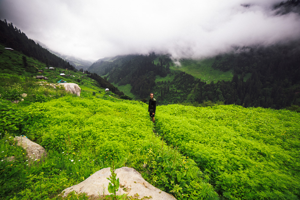 Magic_Valley_Indien_2017-22