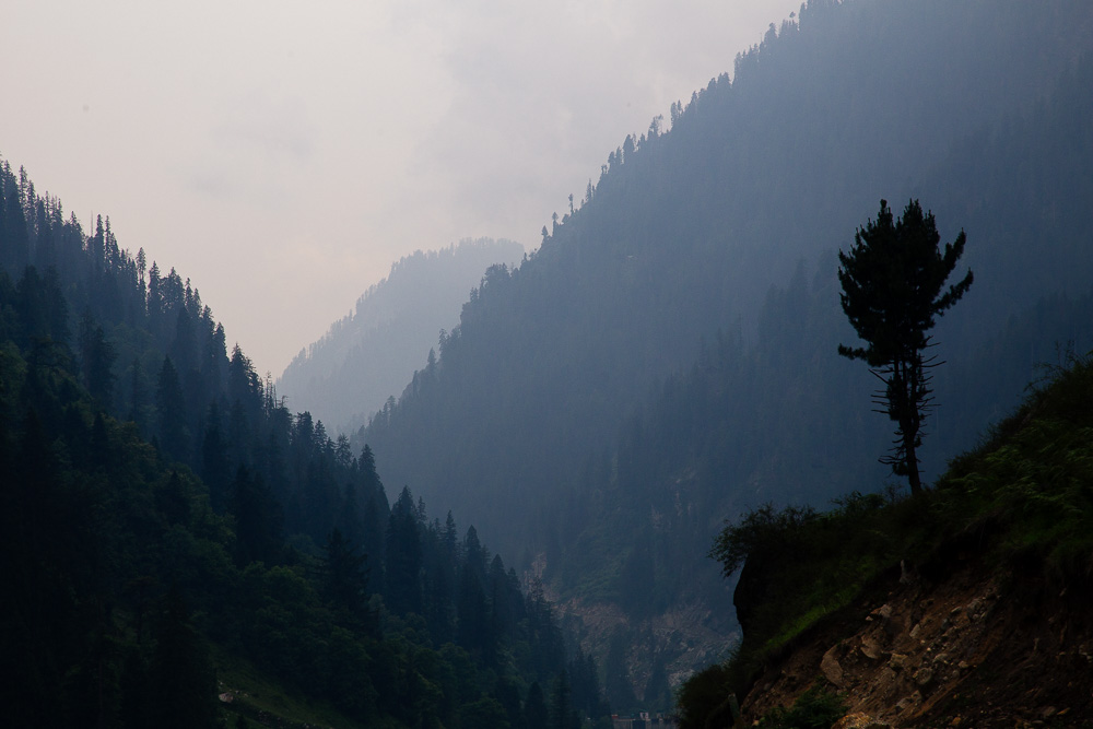 weg_malana_Indien-5