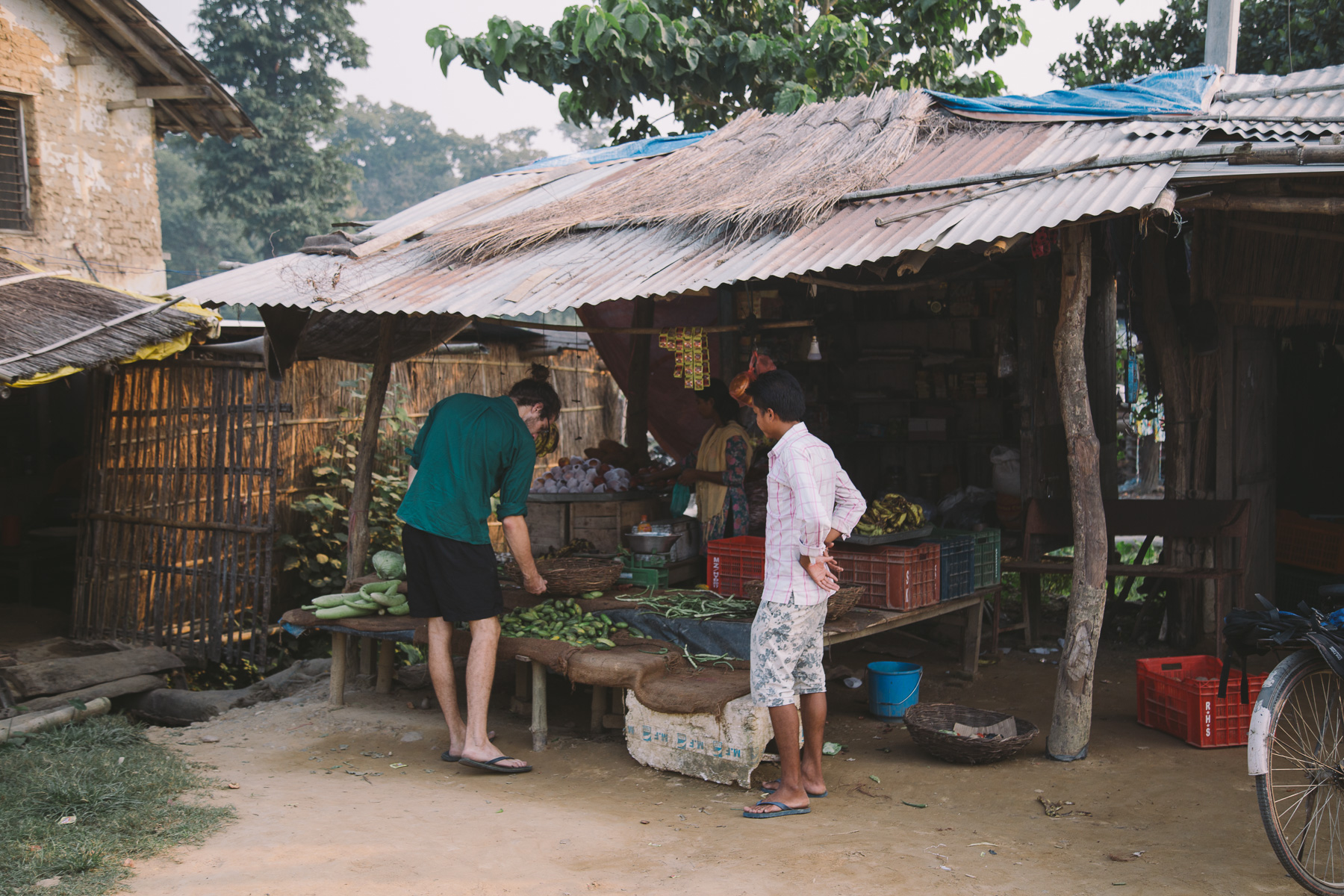 Bardia_Nepal_2017-0810