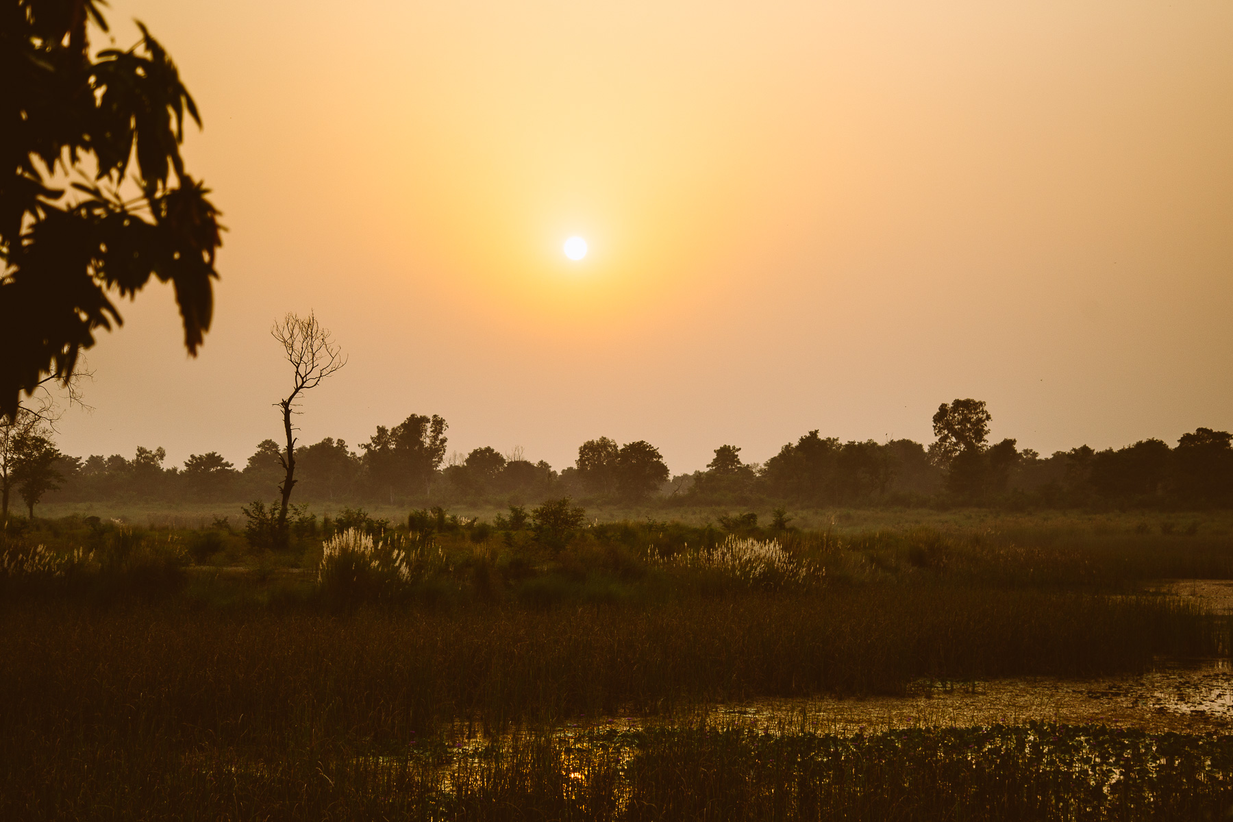 Lumbini_Nepal_2017-1393