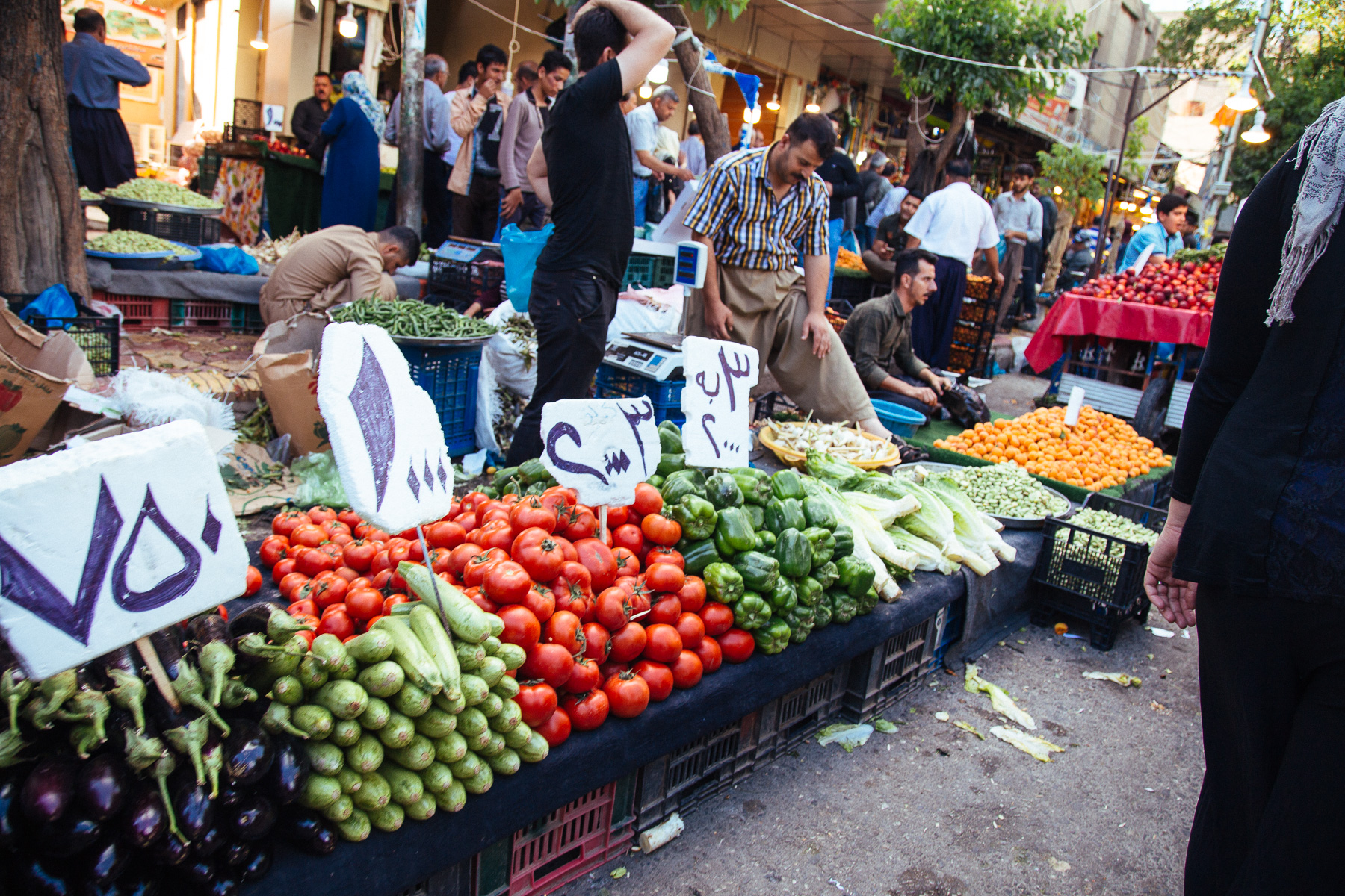 Iraq_Kurdistan_overland_2018-13