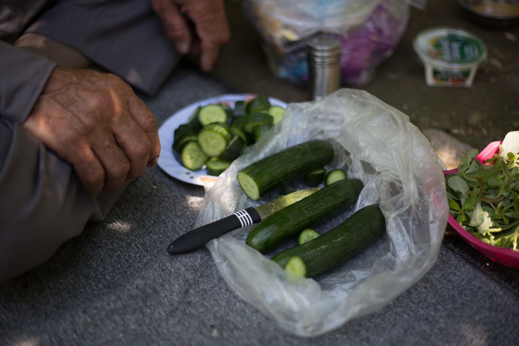 Iraq_Kurdistan_overland_2018-46